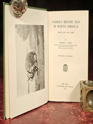 Animals Before Man In North America