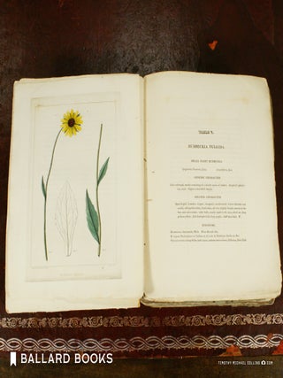 Flora of North America