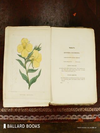 Flora of North America