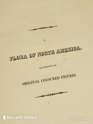 Flora of North America
