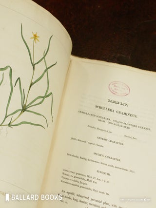 Flora of North America