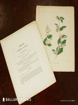 Flora of North America