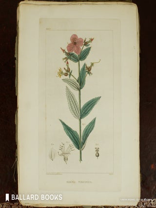 Flora of North America