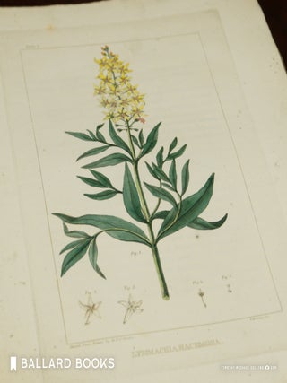 Flora of North America