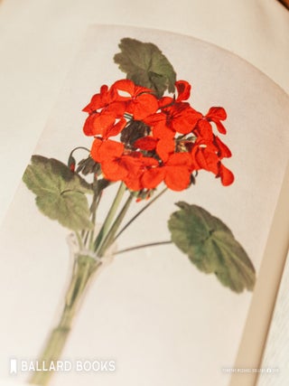 Luther Burbank: His Methods and Discoveries and Their Practical Applications