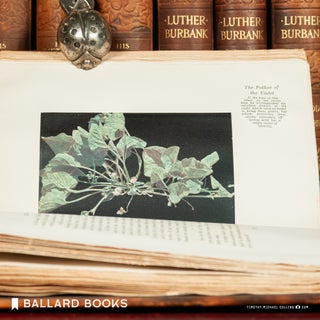 Luther Burbank: His Methods and Discoveries and Their Practical Applications