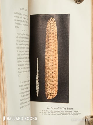 Luther Burbank: His Methods and Discoveries and Their Practical Applications