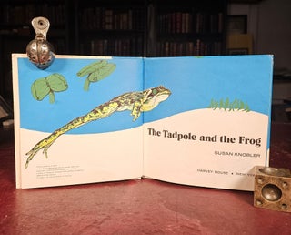 Tadpole and the Frog