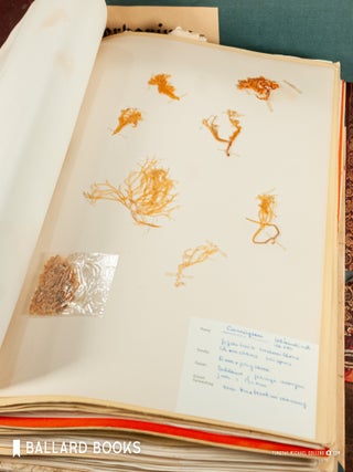 Herbarium