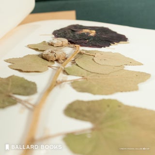 Herbarium
