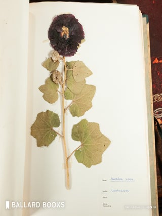Herbarium