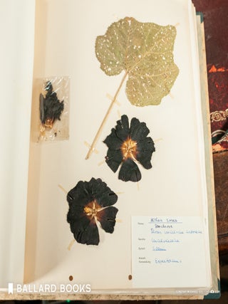 Herbarium