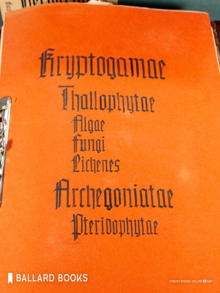 Herbarium
