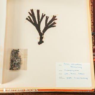 Herbarium