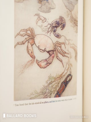 The Water-Babies: A Fairy Tale for the Land-Baby