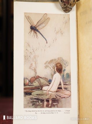 The Water-Babies: A Fairy Tale for the Land-Baby